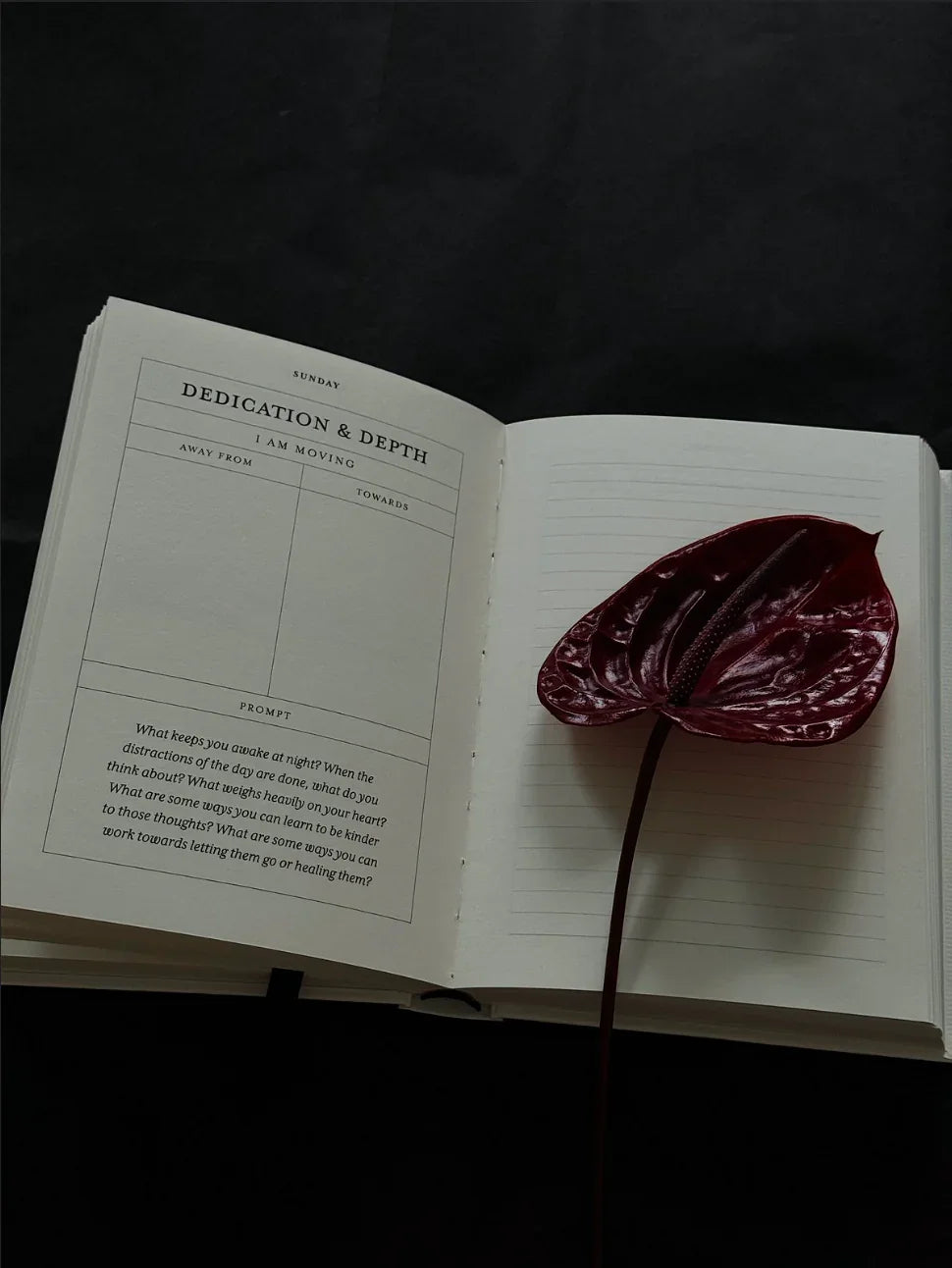 Thought Catalog - The Becoming Journal - a guided journal