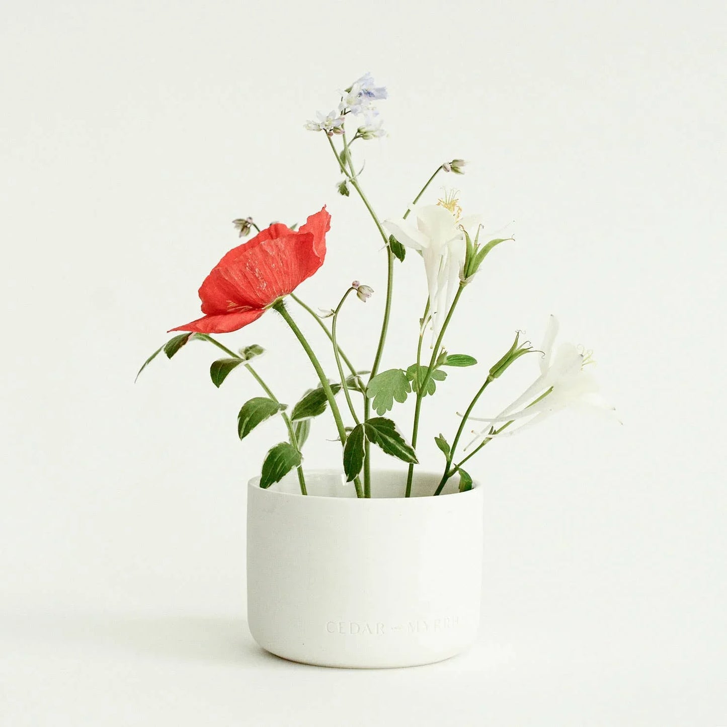 Delicate flowers in white ceramic vase with red poppy and white blossoms, minimal decor Come see us at Awaken, Franklin, Tennessee