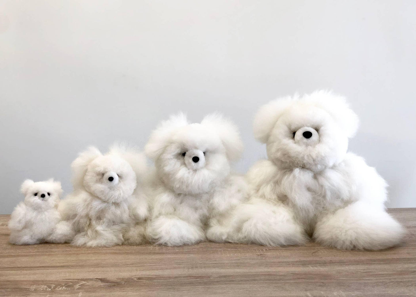 Four fluffy white teddy bears in small to large sizes on a wooden surface Come see us at Awaken, Franklin, Tennessee
