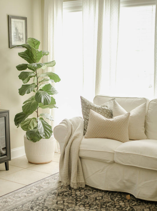 Cozy living room with white sofa, decorative pillows, throw blanket, green potted plant, and framed art. Come see us at Awaken, Franklin, Tennessee