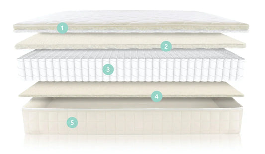 Cross-section of a layered mattress showing quilted cover, memory foam, pocket springs, padding, and base. Come see us at Awaken, Franklin, Tennessee
