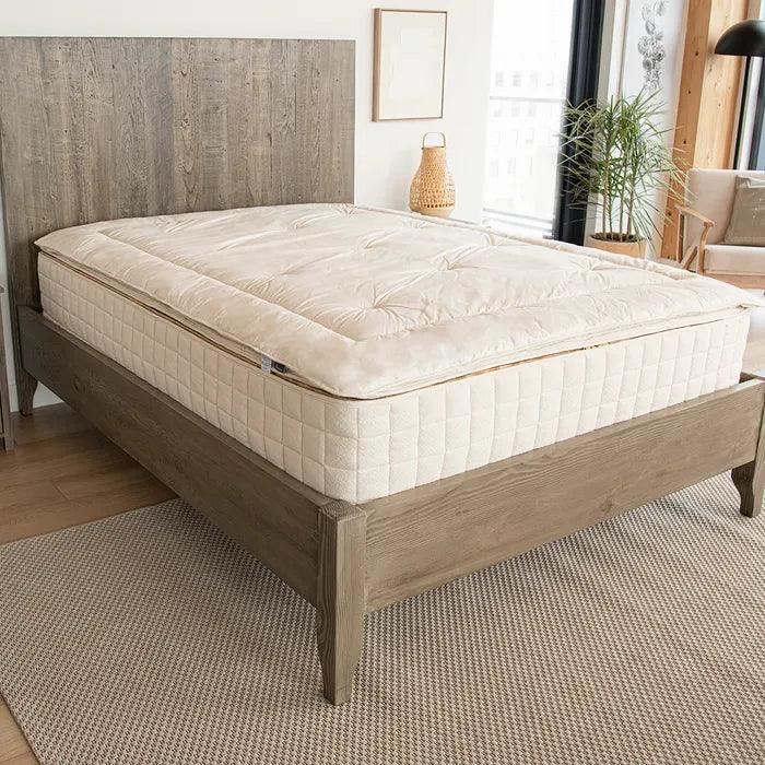 Cozy beige mattress on wooden bed frame in bright bedroom with plant and lamp, Come see us at Awaken, Franklin, Tennessee