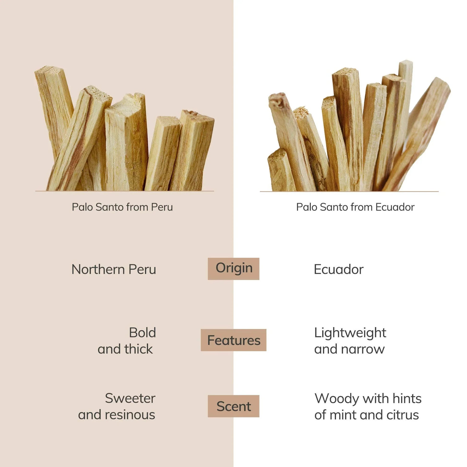 Comparison of Palo Santo wood from Peru and Ecuador with origins, features, and scents described. Come see us at Awaken, Franklin, Tennessee