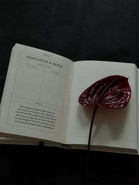Thought Catalog - The Becoming Journal - a guided journal