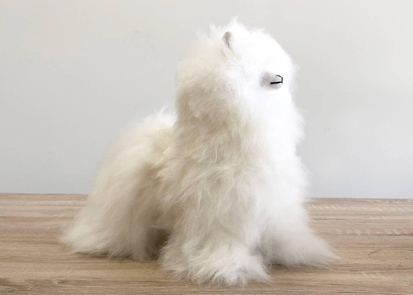 Fluffy white stuffed dog toy on wooden surface against gray background. Come see us at Awaken, Franklin, Tennessee