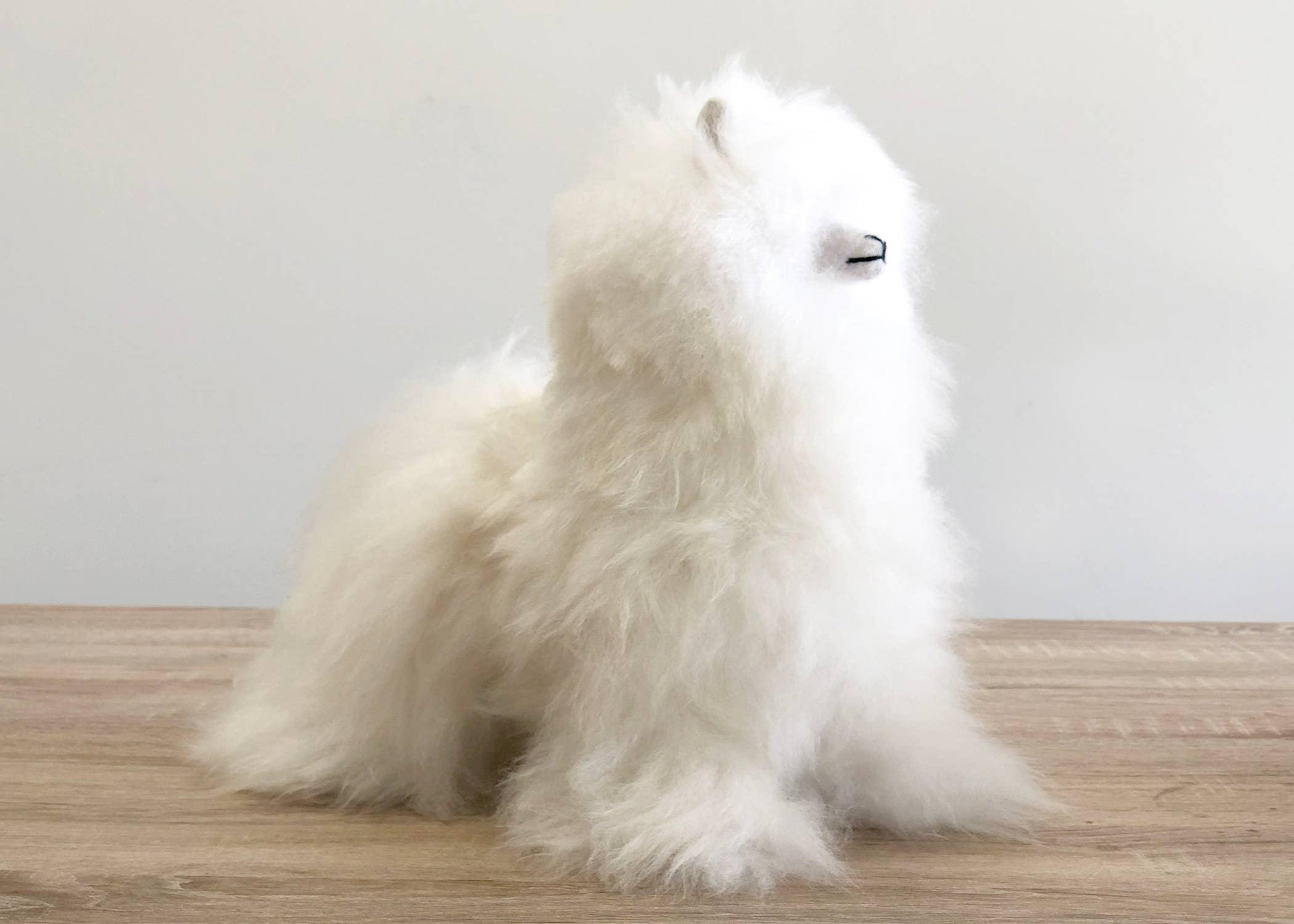 Fluffy white stuffed dog toy on wooden surface against gray background. Come see us at Awaken, Franklin, Tennessee