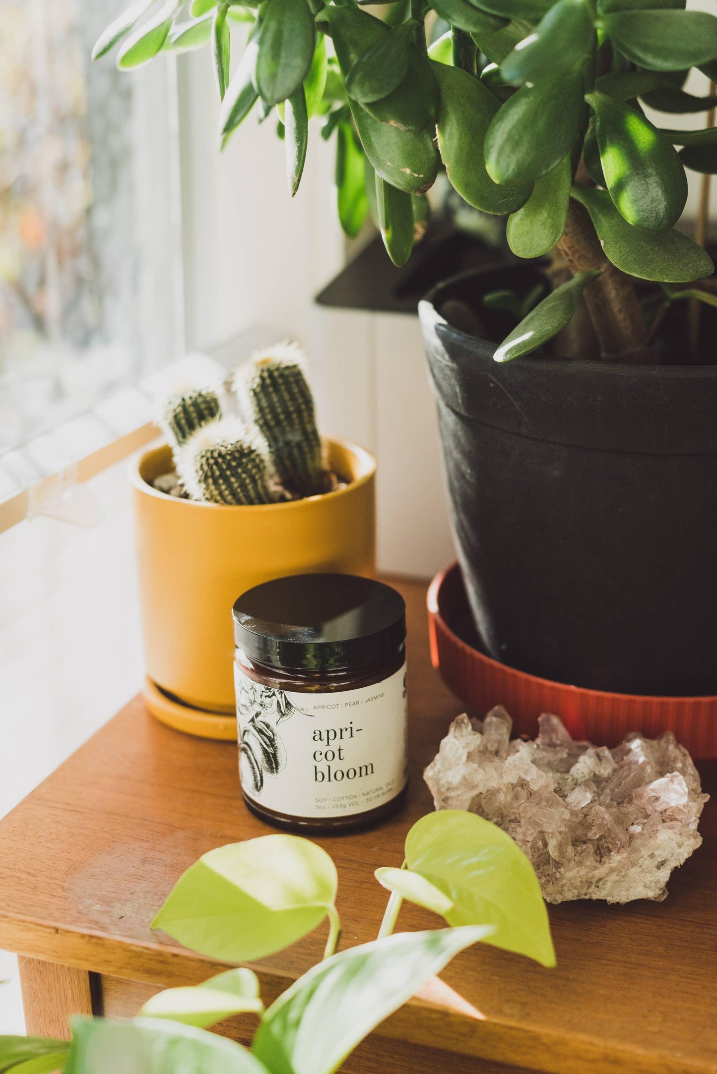 Broken Top Brands - Apricot Bloom 9oz Soy Candle