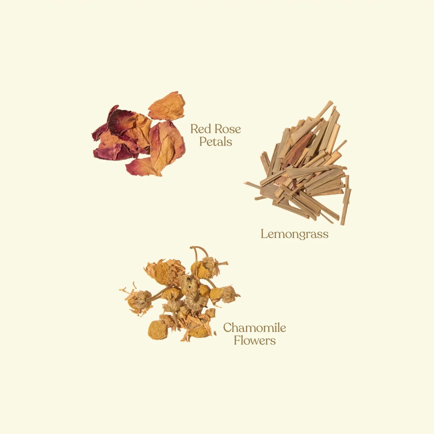 Dried red rose petals, lemongrass, and chamomile flowers on a light background. Come see us at Awaken, Franklin, Tennessee