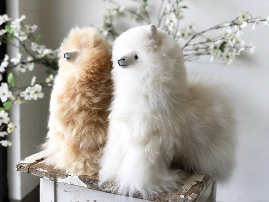 Two fluffy alpaca plush toys, one white and one beige, on a rustic wooden table with blooming branches. Come see us at Awaken, Franklin, Tennessee