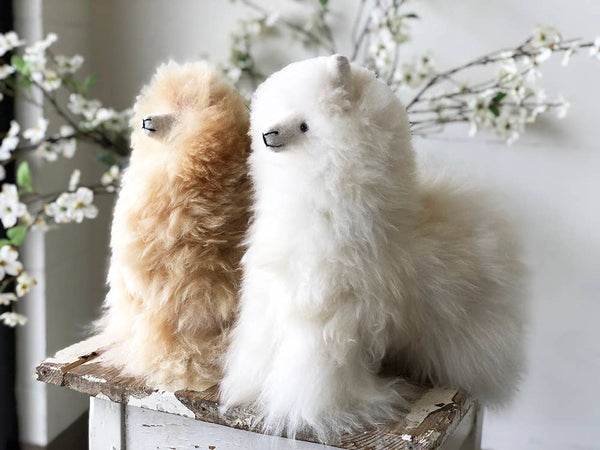 Shupaca Alpaca - Alpaca Stuffed Animal - Alpaca Medium 12"