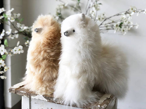 Shupaca Alpaca - Alpaca Stuffed Animal - Alpaca Medium 12"