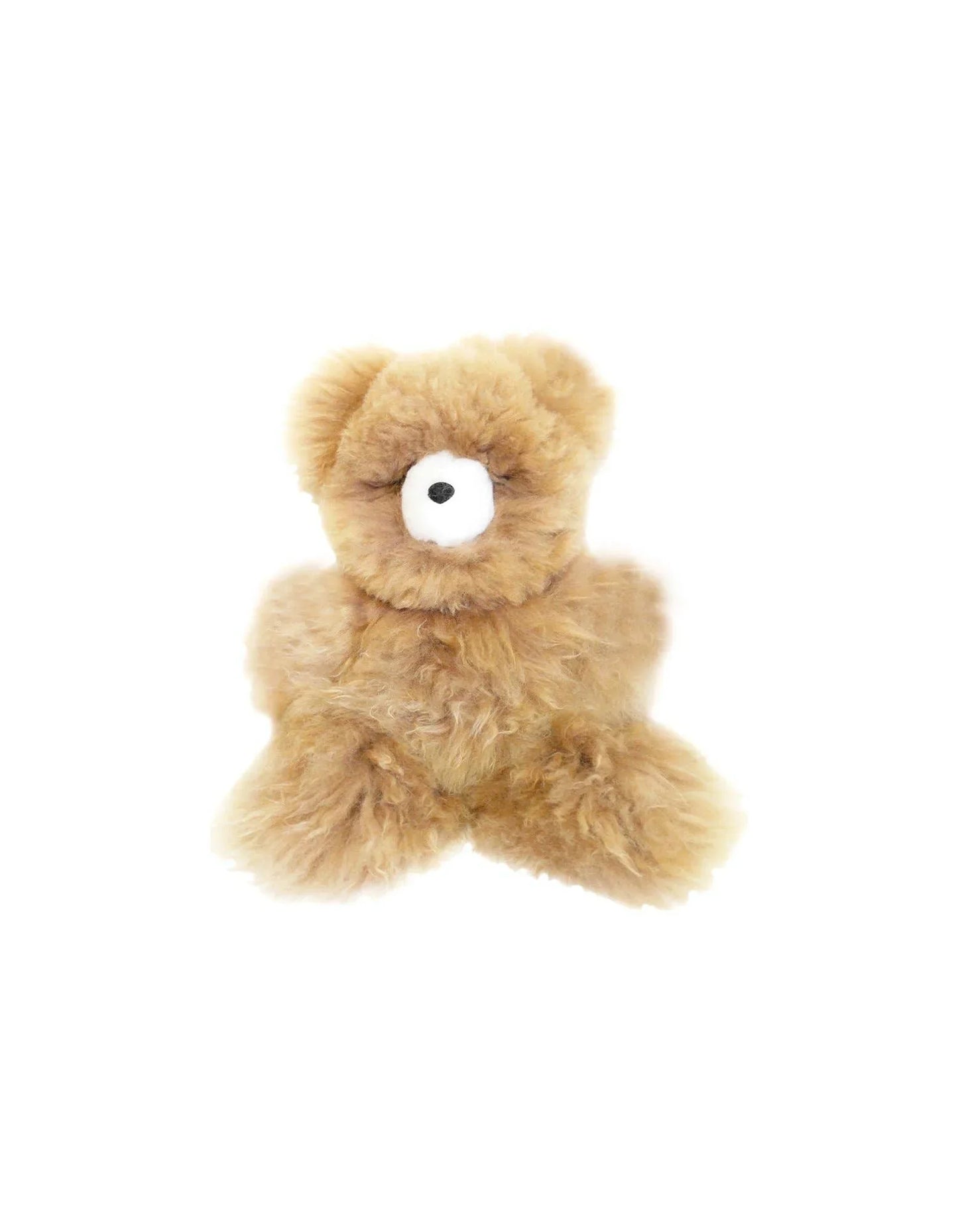 Fluffy brown teddy bear with white nose sitting on white background. Come see us at Awaken, Franklin, Tennessee