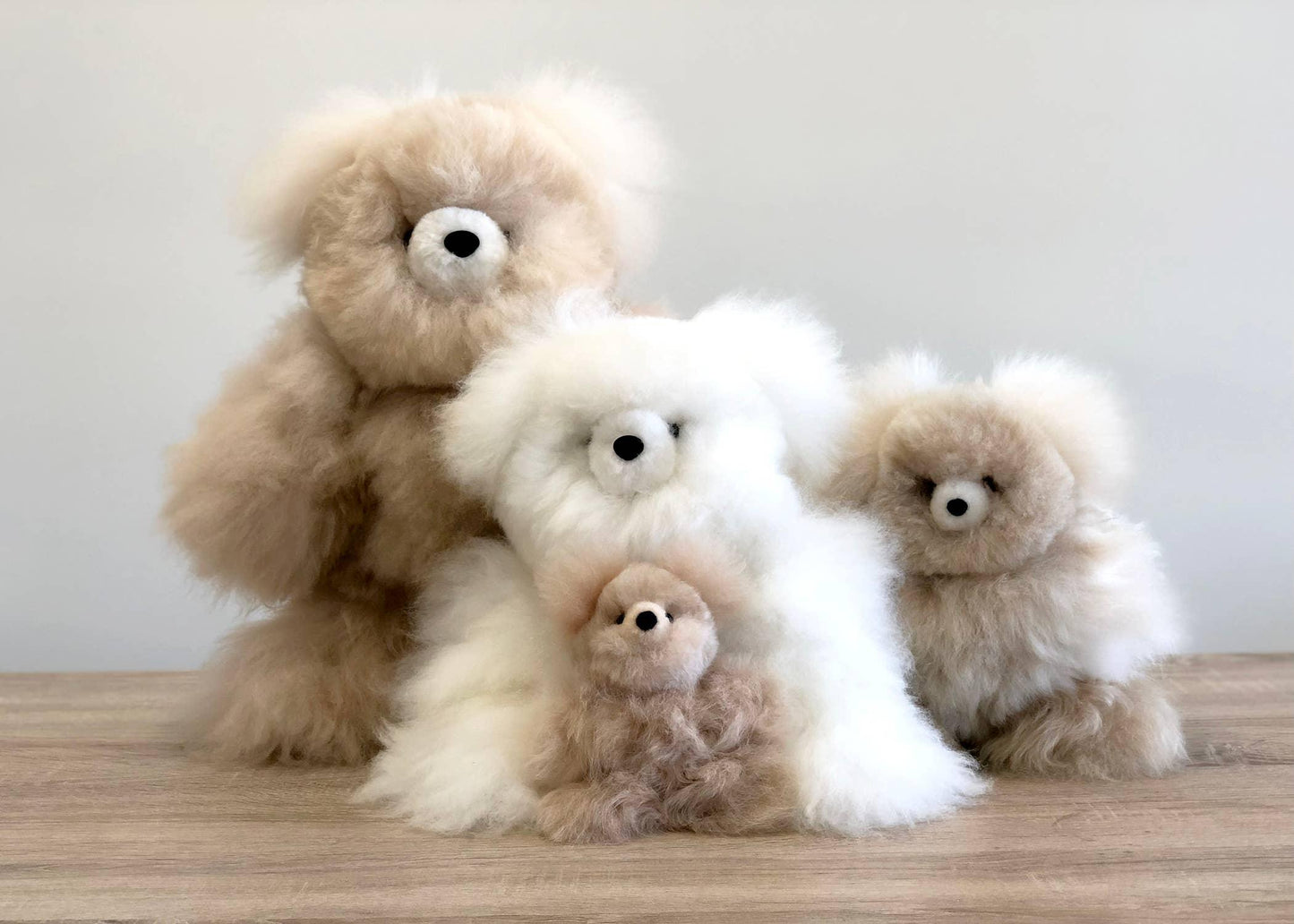 Four fluffy teddy bears in beige and white on wooden surface against white wall. Come see us at Awaken, Franklin, Tennessee