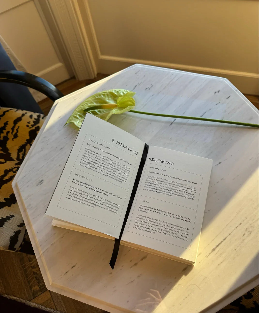 Thought Catalog - The Becoming Journal - a guided journal