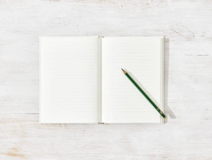 Thought Catalog - Meditations Journal