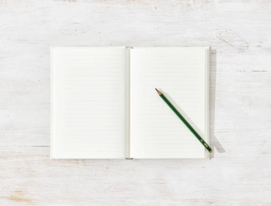 Thought Catalog - Meditations Journal