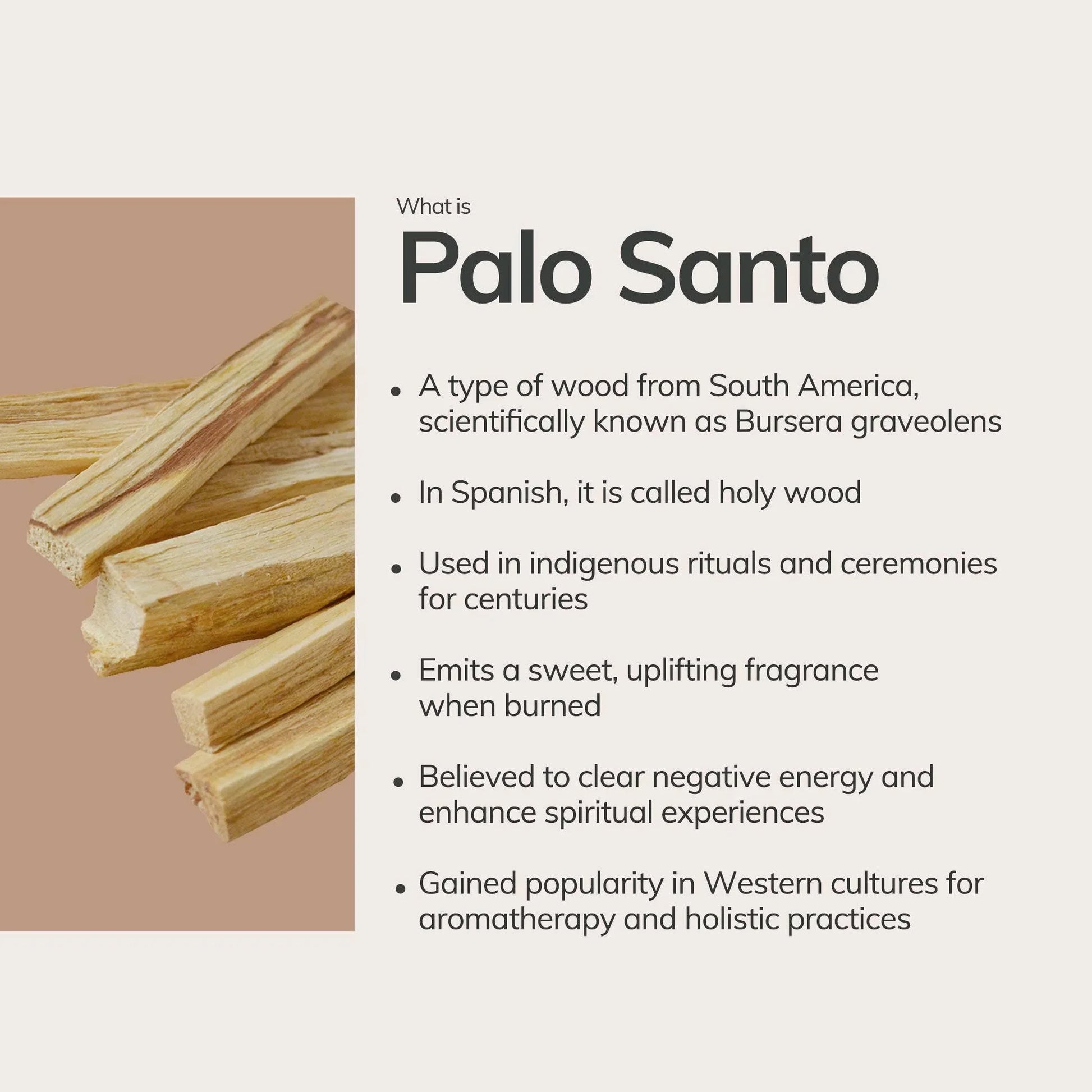 Palo Santo wood sticks with info about spiritual and aromatherapy uses. Come see us at Awaken, Franklin, Tennessee