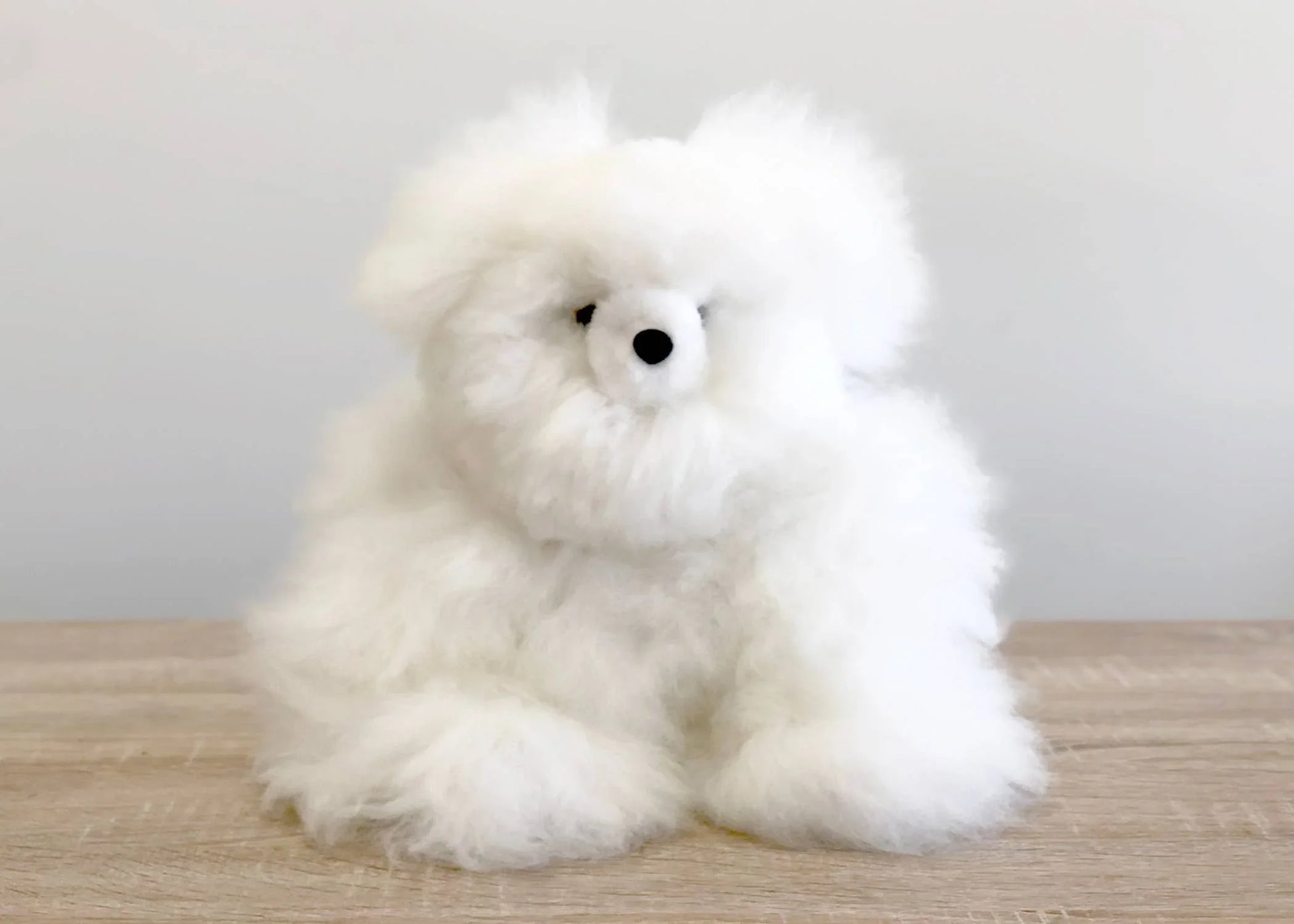 Fluffy white alpaca fur plush toy on wooden surface with gray background. Come see us at Awaken, Franklin, Tennessee