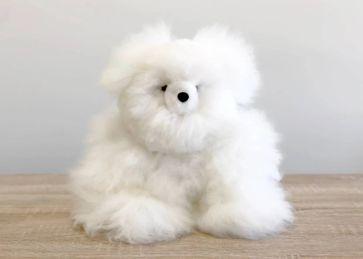 Fluffy white plush dog toy on wooden surface with neutral background. Come see us at Awaken, Franklin, Tennessee