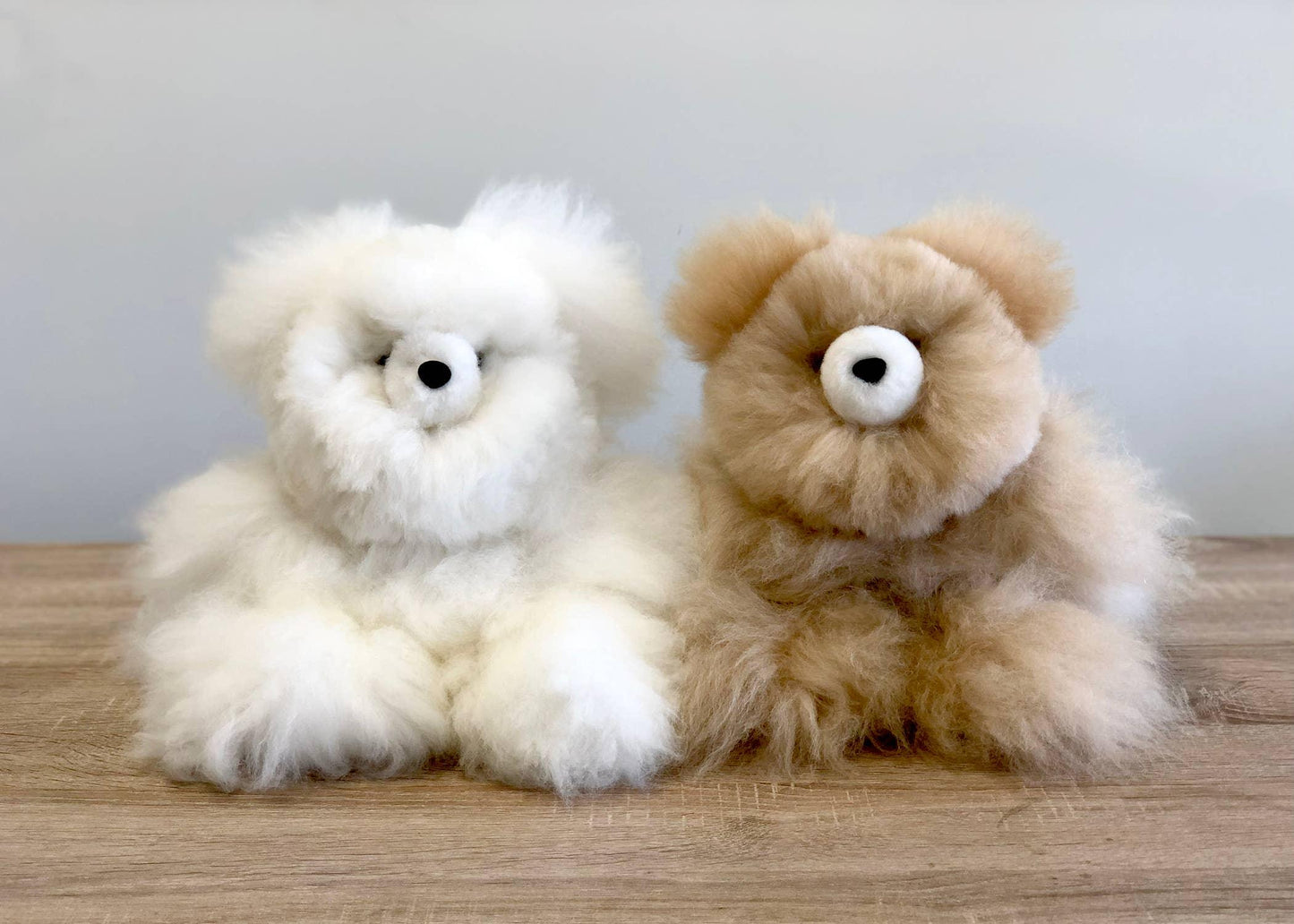 Two fluffy teddy bears, one white and one brown, sitting on a wooden surface. Come see us at Awaken, Franklin, Tennessee