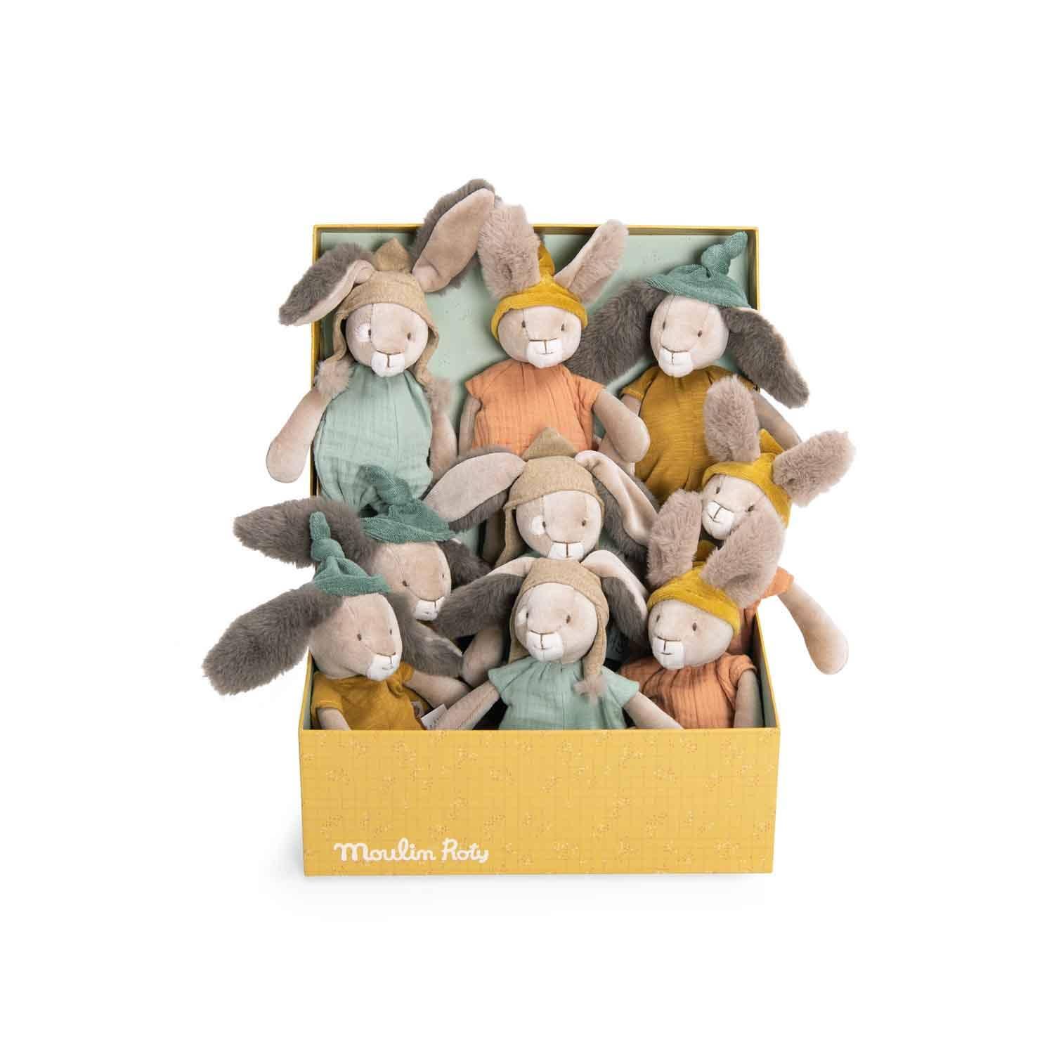 Soft plush bunny dolls in pastel outfits in a yellow box, Moulin Roty brand, Come see us at Awaken, Franklin, Tennessee