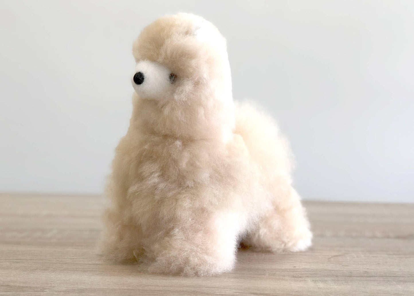 Fluffy cream-colored plush poodle toy on wooden surface with light background. Come see us at Awaken, Franklin, Tennessee