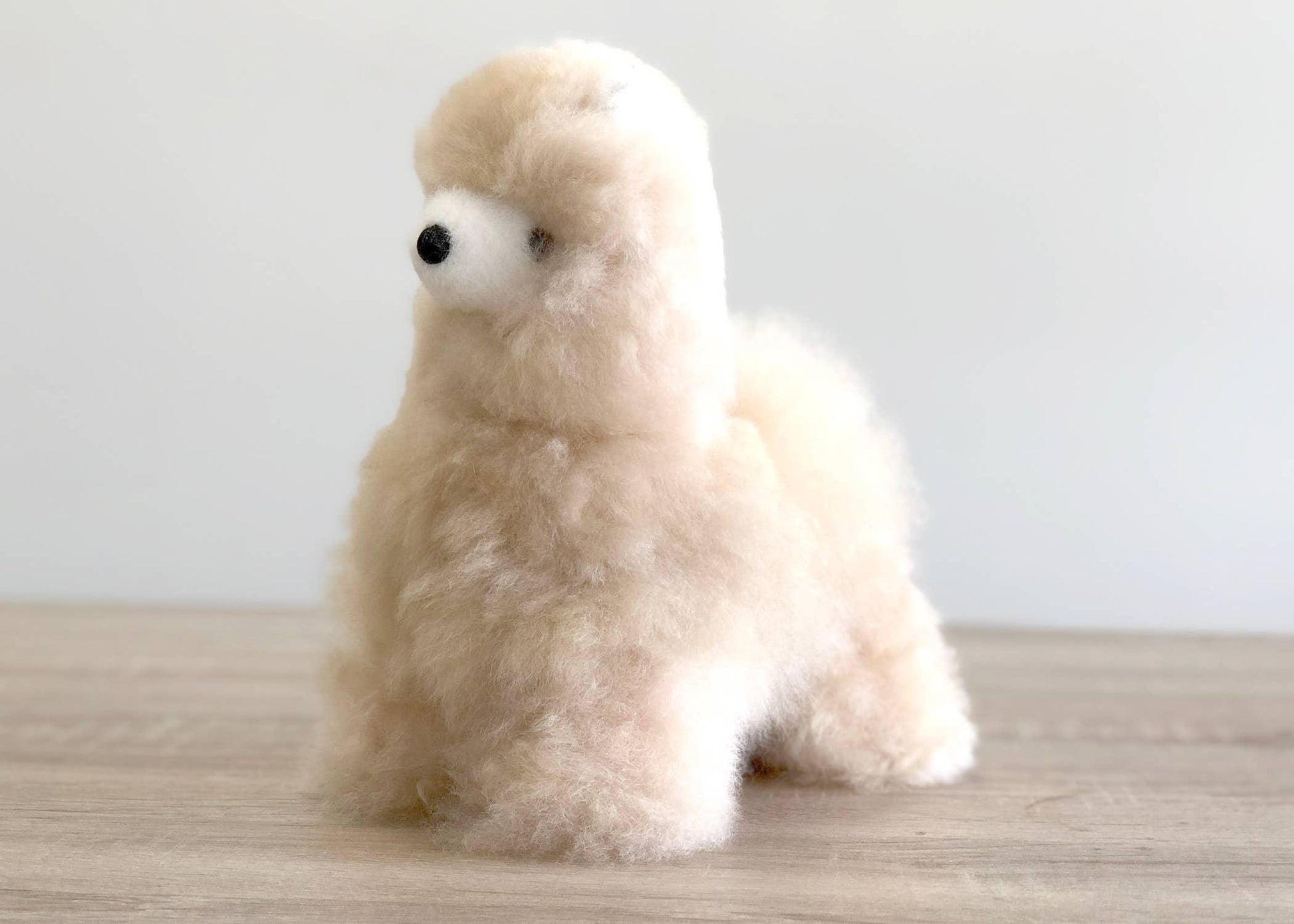 Fluffy cream-colored plush poodle toy on wooden surface with light background. Come see us at Awaken, Franklin, Tennessee