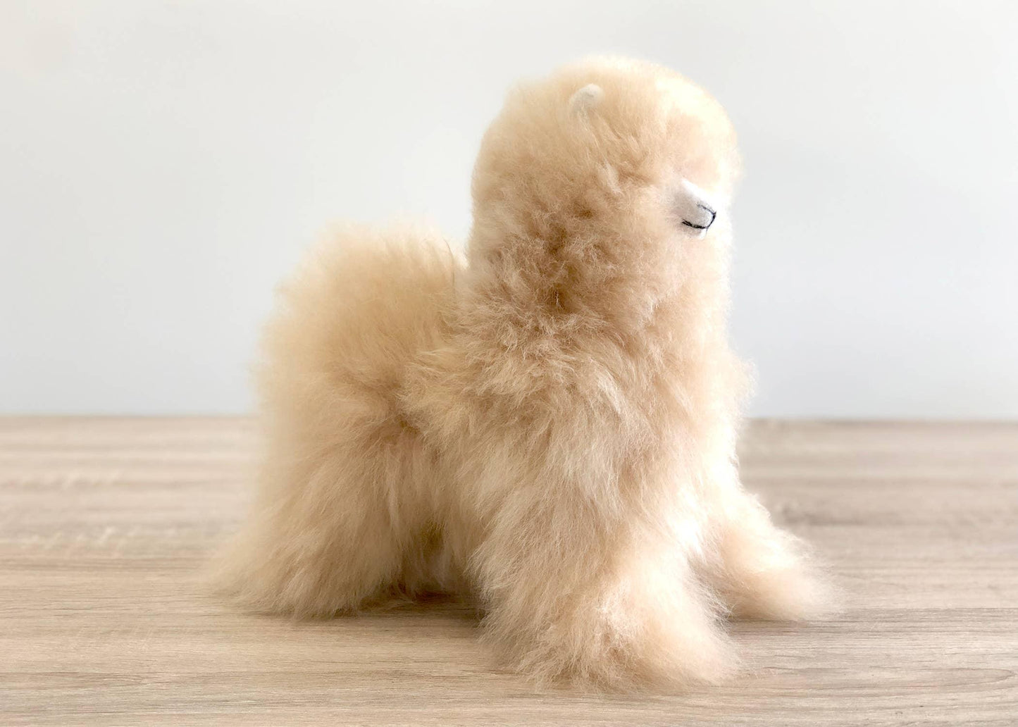 Fluffy beige alpaca figurine on wood surface with plain white background. Come see us at Awaken, Franklin, Tennessee
