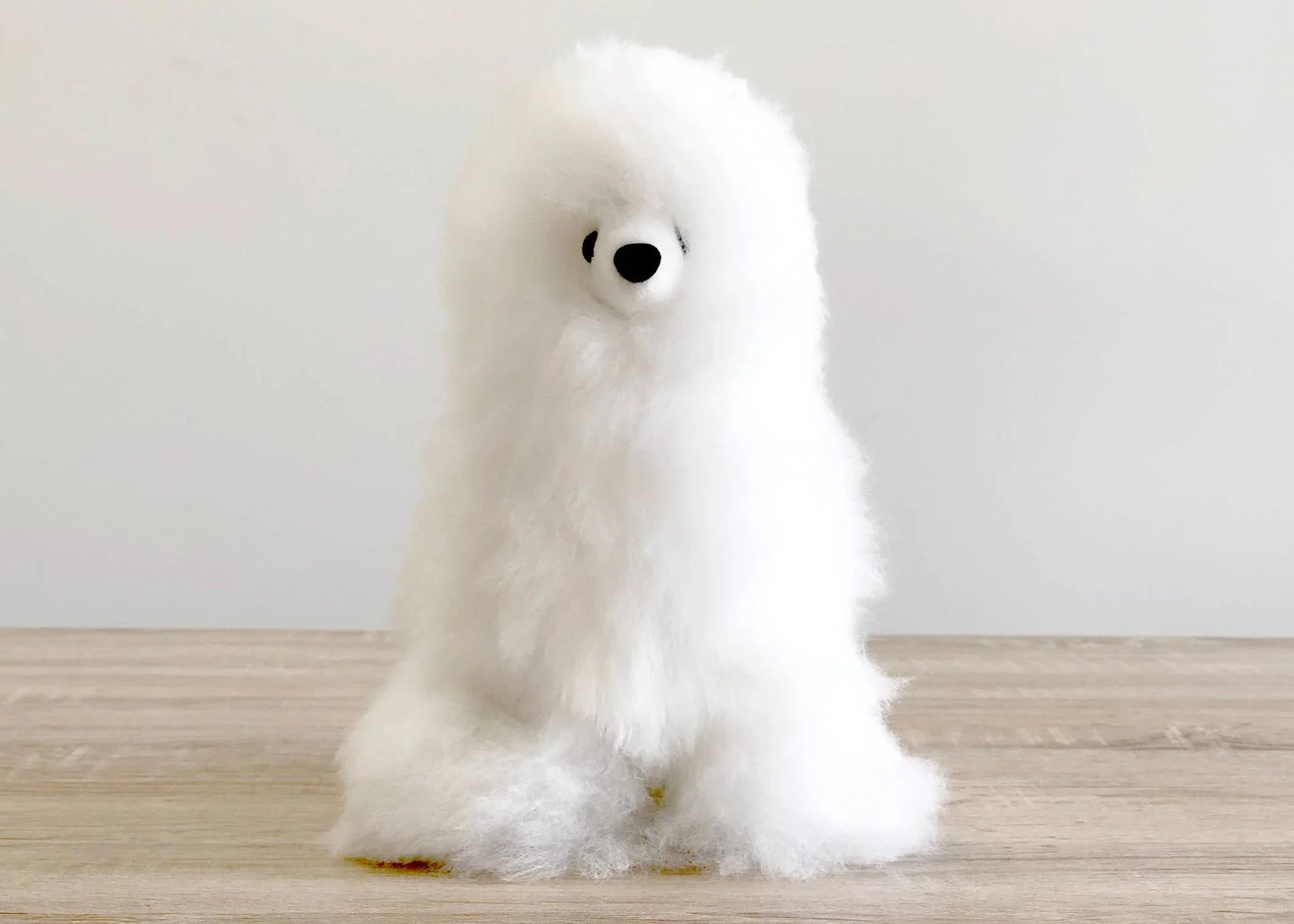 Fluffy white stuffed poodle dog on wooden table with plain white background. Come see us at Awaken, Franklin, Tennessee