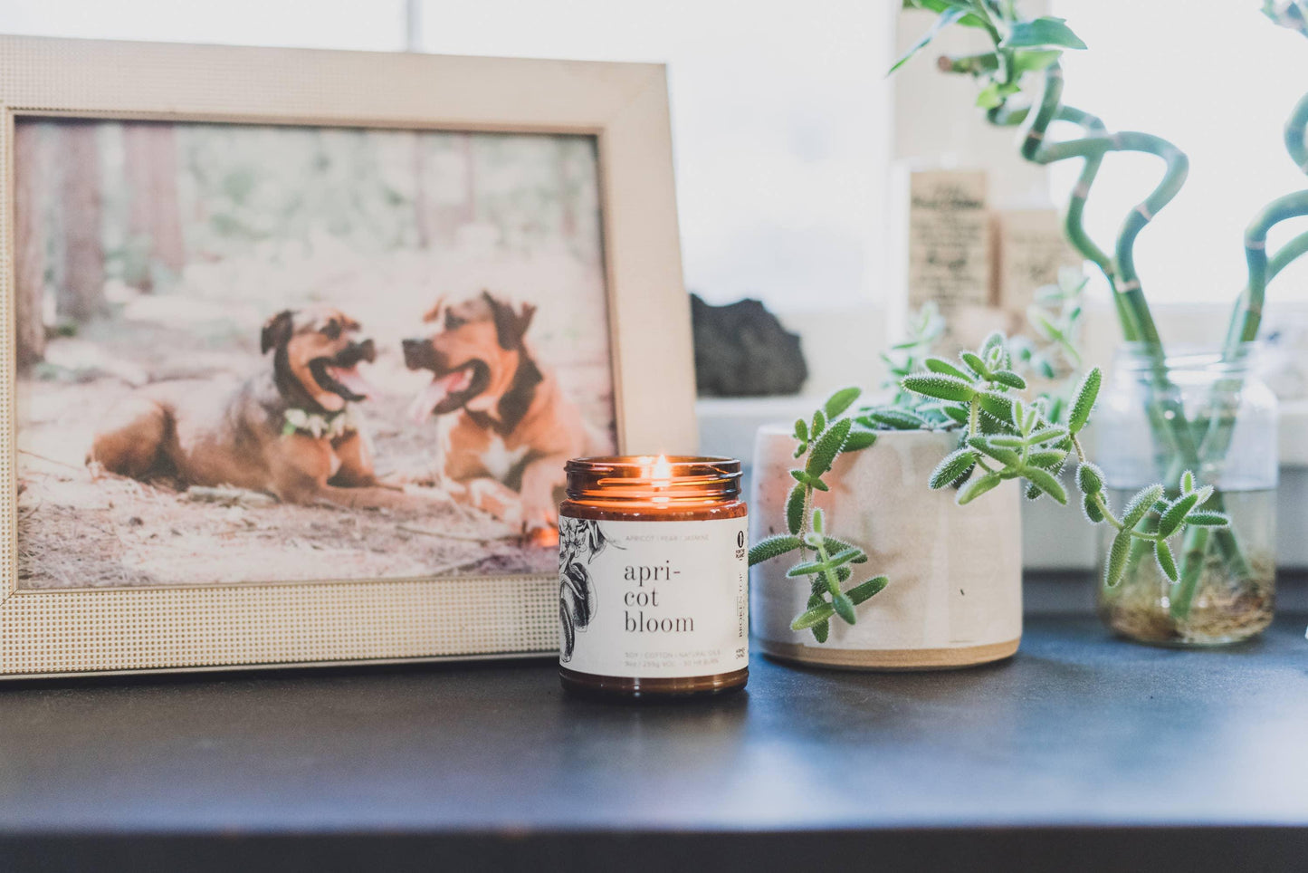 Broken Top Brands - Apricot Bloom 9oz Soy Candle