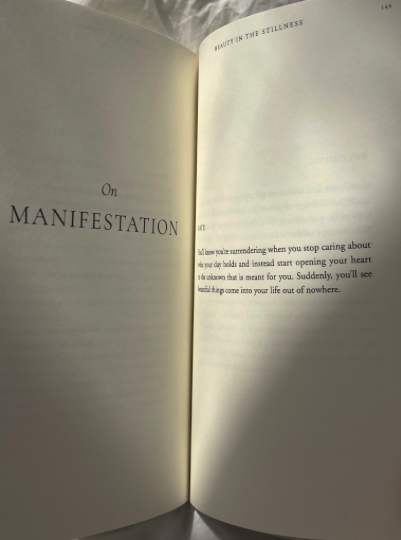 Thought Catalog - Beauty In The Stillness - book