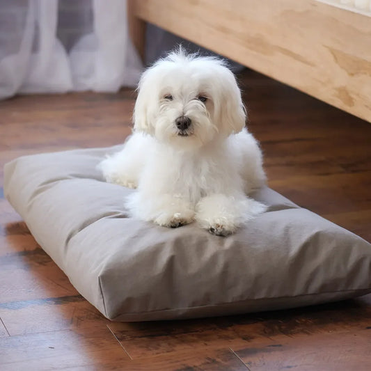 Organic Pet Bed & Cover
