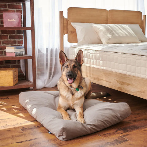 Organic Pet Bed & Cover