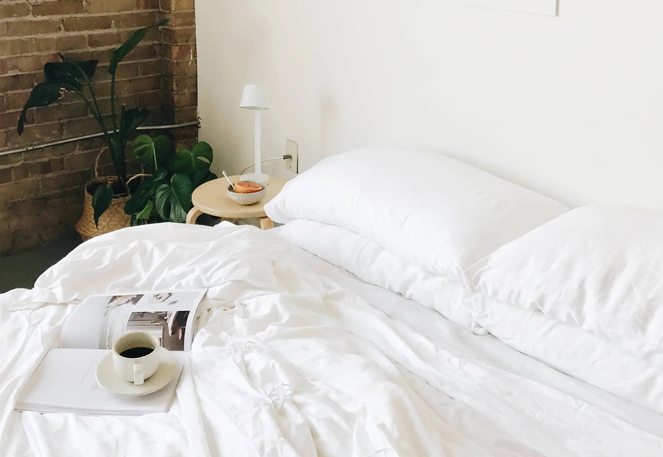 Cozy Earth Bamboo Pillowcases - Thumbnail 3
